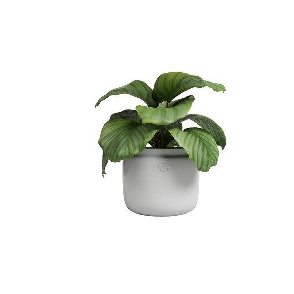 Keramikas ar rokām radīts puķu pods ø 26 cm Astrea – Artevasi-image-4