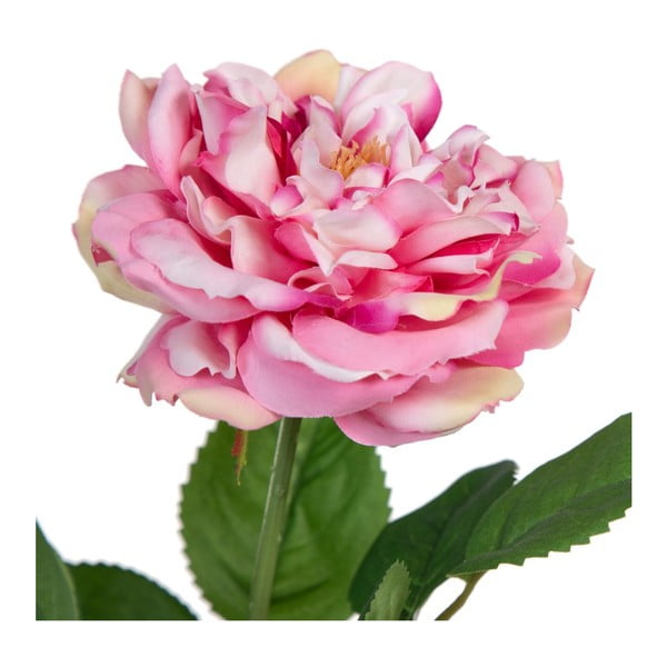Mākslīgais augs (augstums 43 cm) Rose – Ixia-image-1