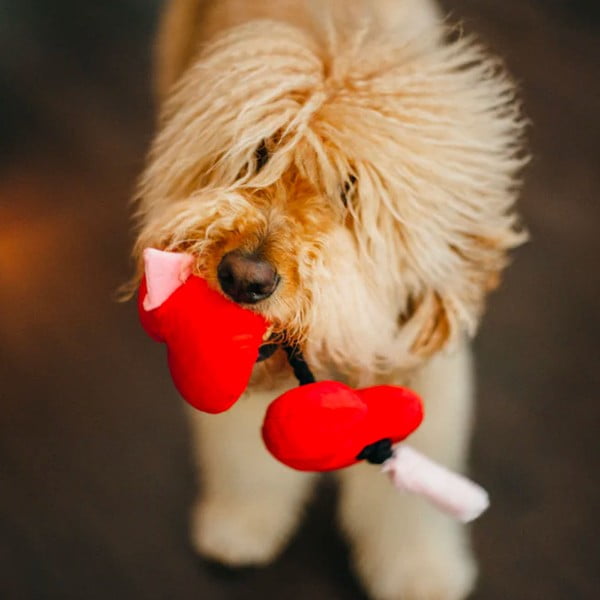 Suņu rotaļlieta Heart – P.L.A.Y.-image-1