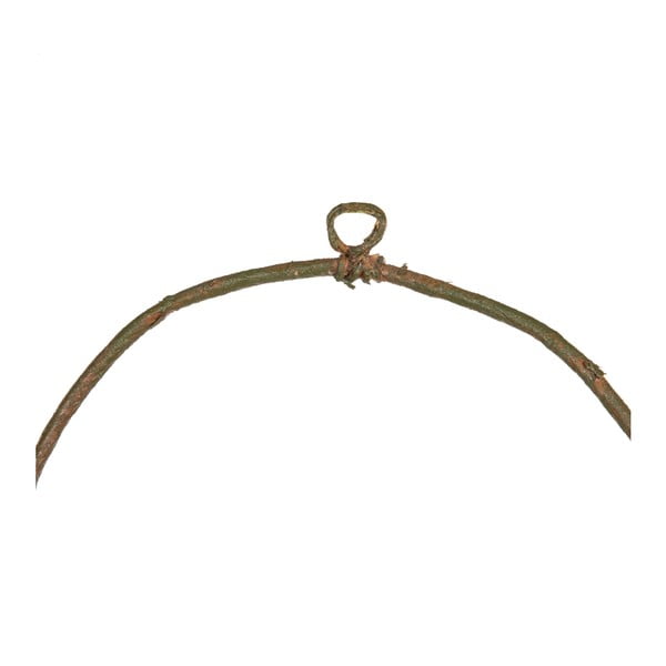 Vainags Magnolia – Ixia-image-1