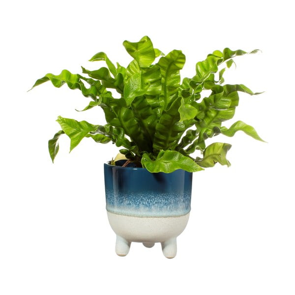 Zils puķu pods Sass & Belle Bohemian Home Mojave, ø 11,7 cm-image-2