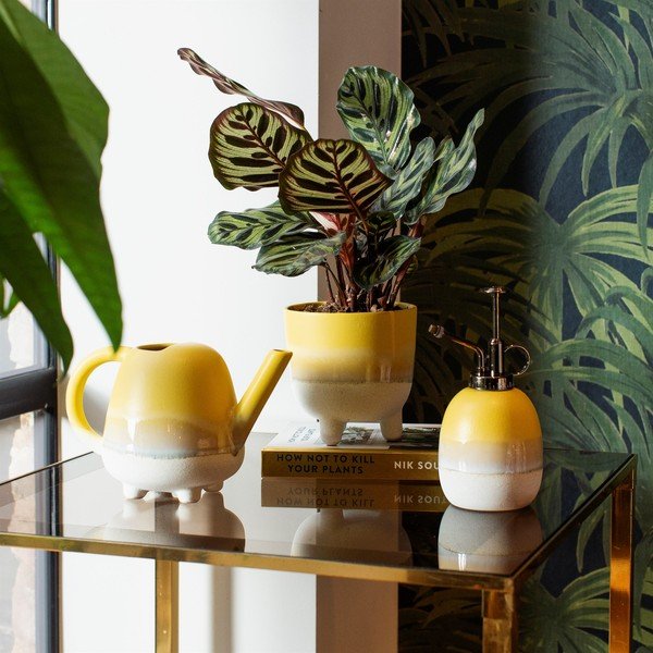 Dzeltens puķu pods Sass & Belle Bohemian Home Mojave, ø 11,7 cm-image-1