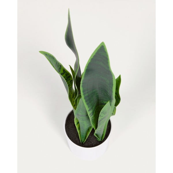 Mākslīgais augs (augstums 55 cm) Sansevieria – Kave Home-image-2