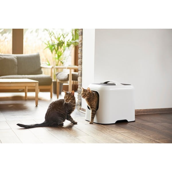 Balta kaķu pakaišu kaste 40x51 cm Biala – Rotho-image-4