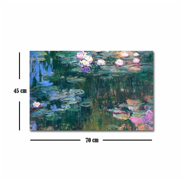 Gleznas reprodukcija uz audekla Claude Monet , 45 x 70 cm-image-3