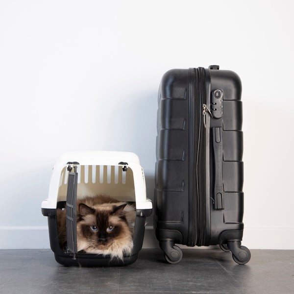 Mājdzīvnieku pārvadāšanas būris mājdzīvniekiem 31x46 cm – Love Story-image-1