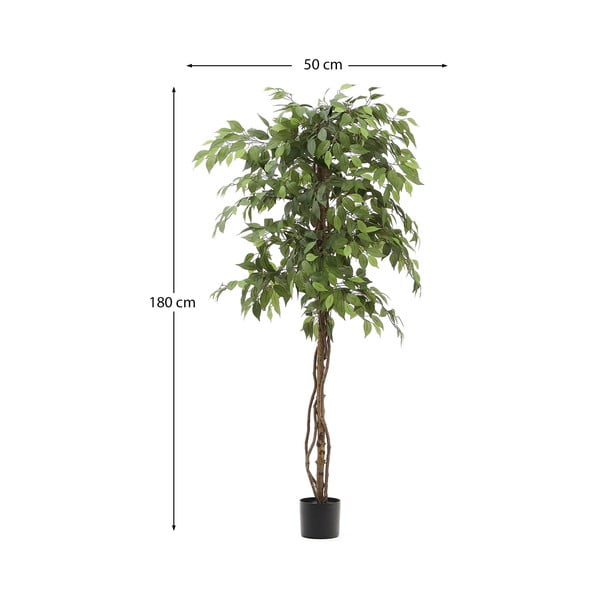 Mākslīgais fikuss (augstums 180 cm) Ficus – Kave Home-image-4