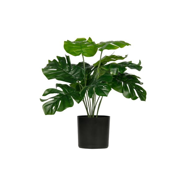 Mākslīgā monstera WOOOD, augstums 40 cm