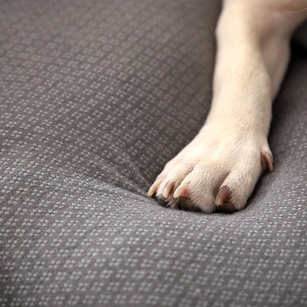 Gaiši pelēka mājdzīvnieku gulta suņiem 60x48 cm Graphene – Love Story-image-3