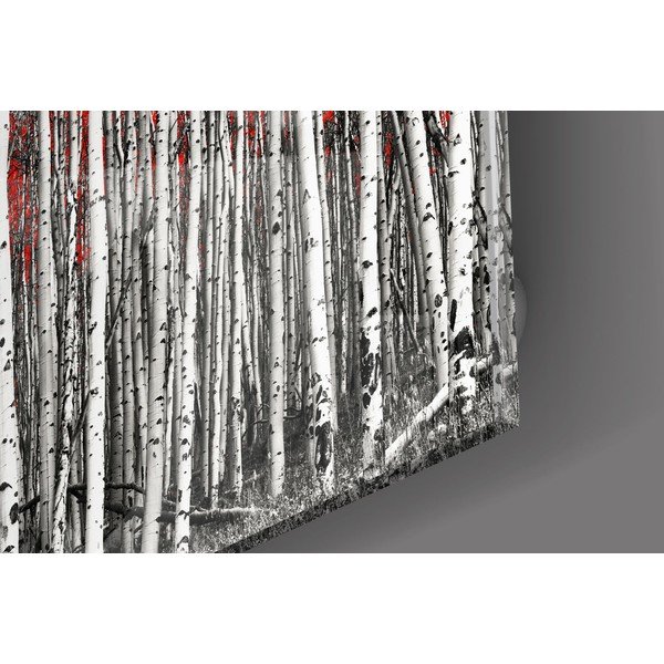 Stikla glezna Insigne Birches-image-2