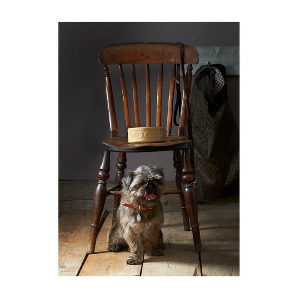 Māla bļoda suņiem Mason Cash Dog Cane, ø 25 cm-image-3