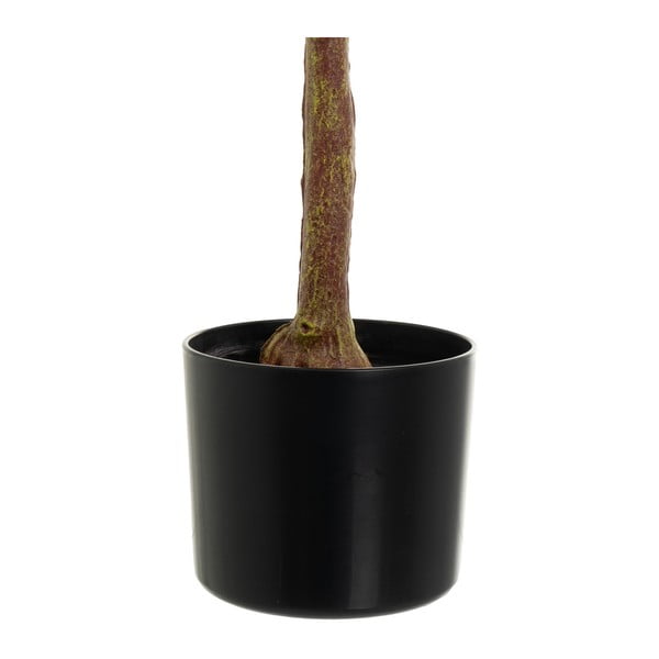 Mākslīgais augs Eucalyptus – Casa Selección-image-3