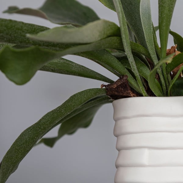 Balta porcelāna rokām darināta vāze Ribbon – Mette Ditmer Denmark-image-4