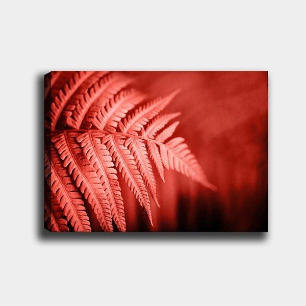 Sienas glezna uz audekla Tablo centrs Palma, 40 x 60 cm