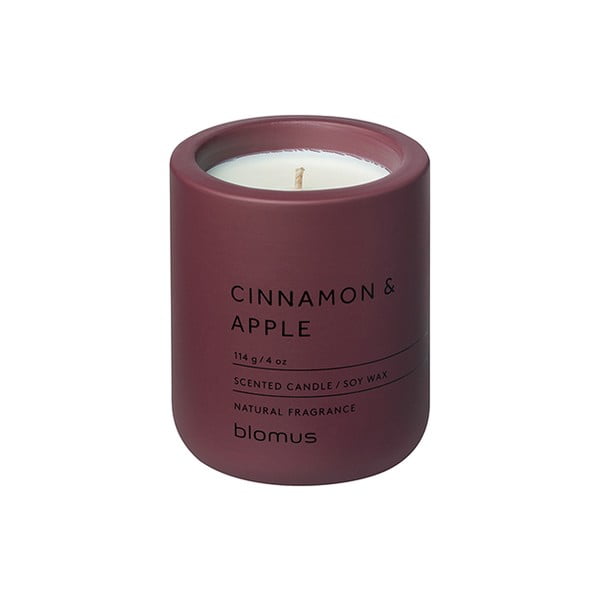 Aromātiskā sojas vaska svece degšanas laiks 24 h Fraga: Cinnamon & Apple – Blomus