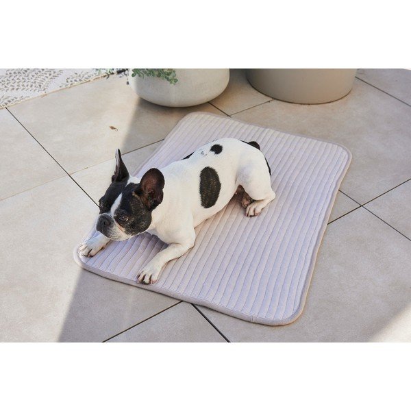 Pelēka kokvilnas sega suņiem 75x100 cm Onda Pebble M – MiaCara-image-3