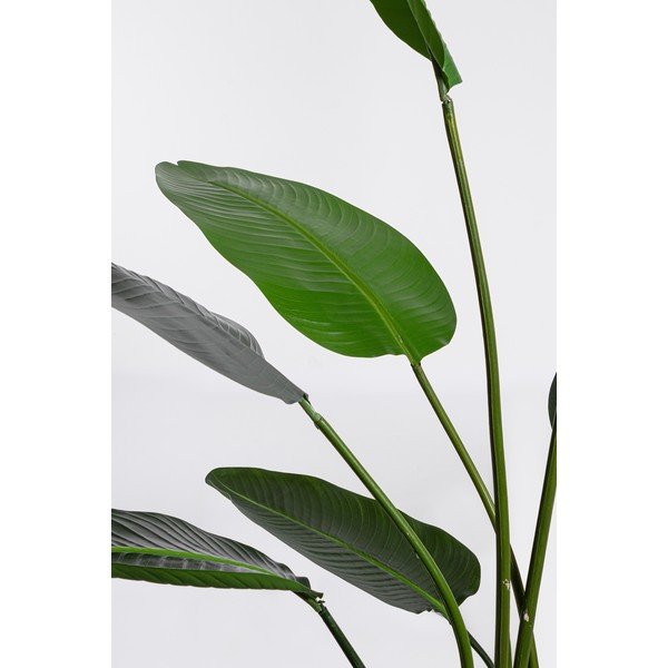 Mākslīgais augs (augstums 185 cm) Sterilizia – Bizzotto-image-1