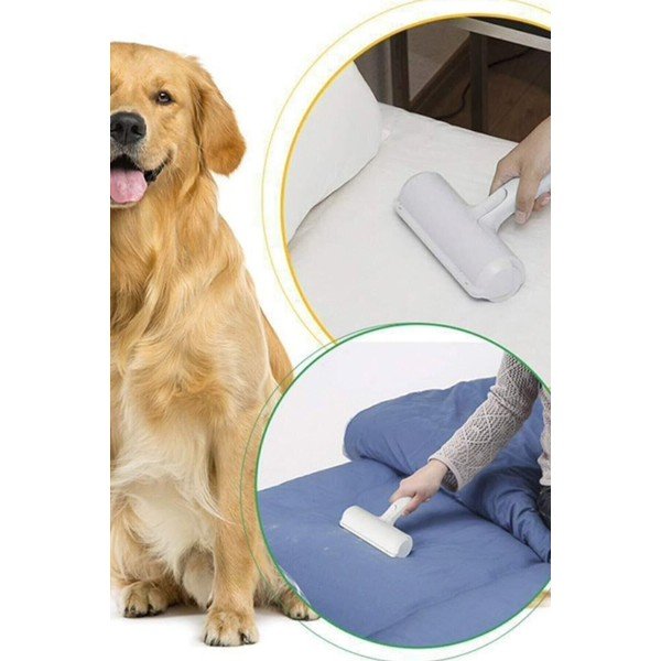 Atpūkotājs – Lydia&Co-image-2