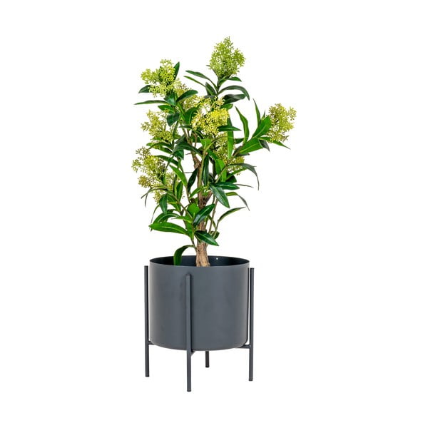 Mākslīgais augs Skimmia – House Nordic-image-1