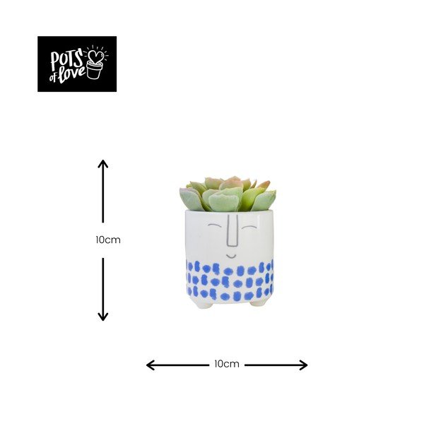 Balti zils keramikas puķu pods Kitchen Craft Happy Face-image-3
