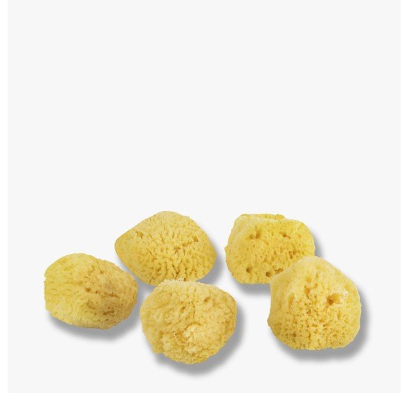 Sejas tīrīšanas sūkļi (5 gab.) Ocean – Mette Ditmer Denmark