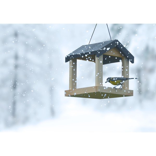 Koka putnu barotava Esschert Design-image-3