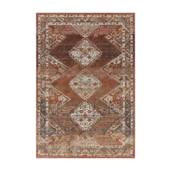 Sarkanbrūns paklājs 170x120 cm Zola – Asiatic Carpets