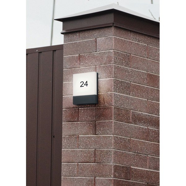 LED sienas āra gaismeklis (augstums 20 cm) Pecos – Trio-image-2