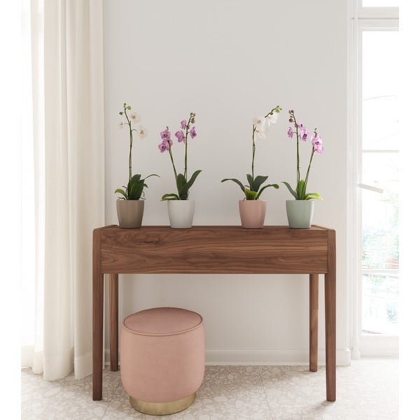 Keramikas puķu pods ø 14 cm Thalia – Artevasi-image-3