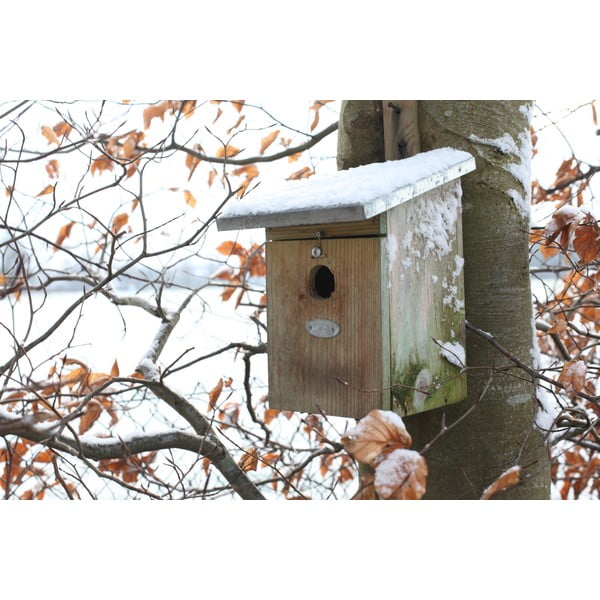 Koka putnu būris – Esschert Design-image-3