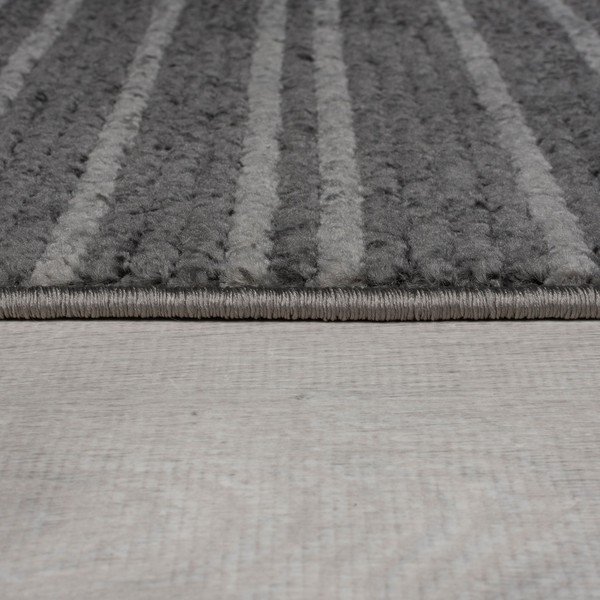 Tumši pelēks paklājs 120x160 cm Camino – Flair Rugs-image-4