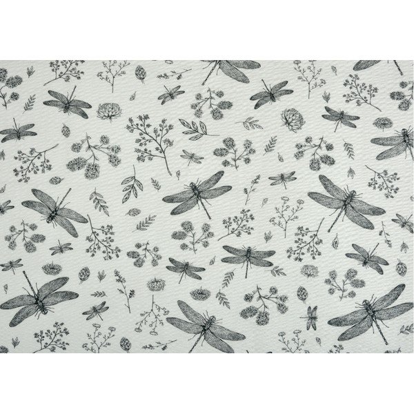 Balta/pelēka krepa gultas veļa divvietīgai gultai 200x200 cm Dragonfly -image-1