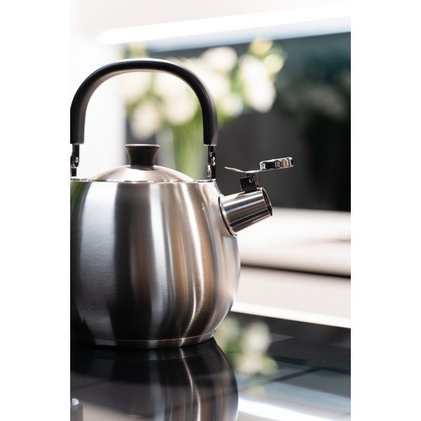 Sudraba krāsas nerūsējošā tērauda tējkanna ar svilpi Vialli Design Bolla, 2,5 l-image-4