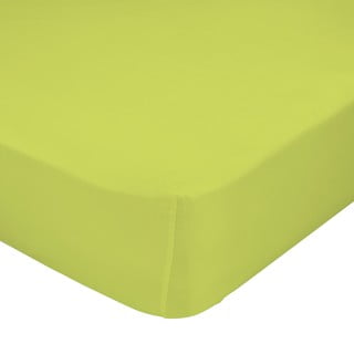Zaļš, tīras kokvilnas elastīgs palags Happy Friday Basic, 90 x 200 cm