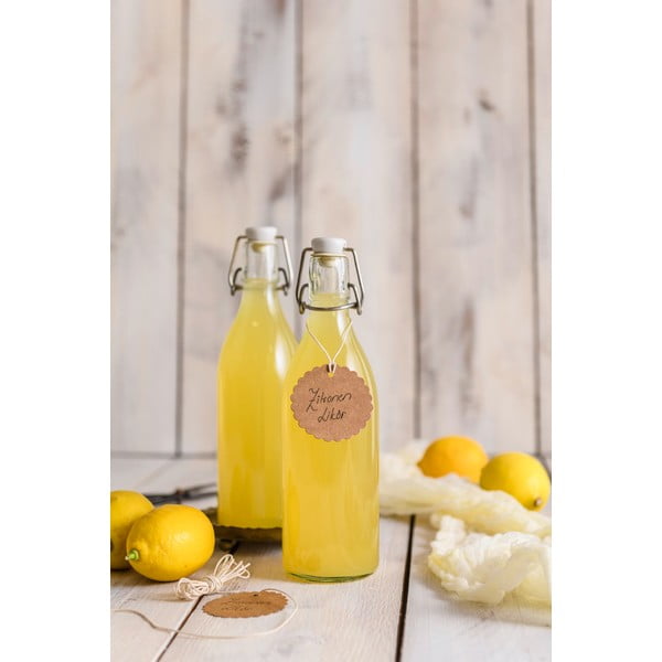 Stikla pudele ar aizbāzni Dr. Oetker Swing, 520 ml-image-1