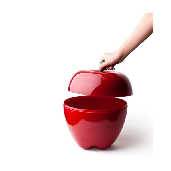 Apple kaste-image-3