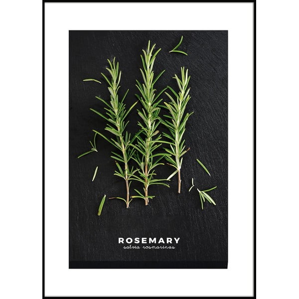 Plakāts rāmī 50x70 cm Rosemary – Styler