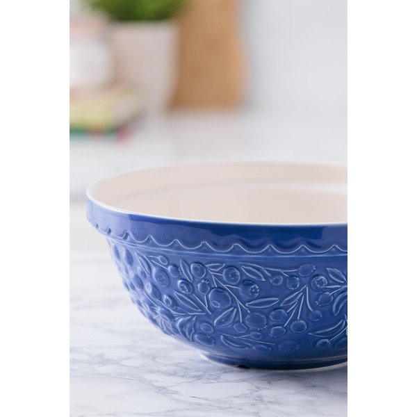 Zila akmensmasas bļoda ø 26 cm Fruits Blueberry – Mason Cash-image-4