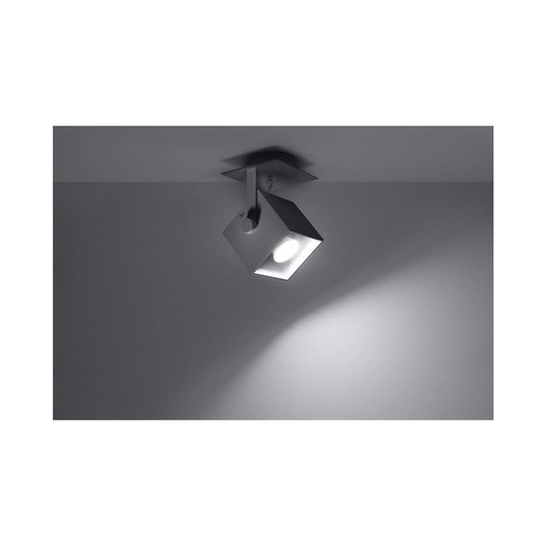 Pelēka griestu lampa Sollux Noe Uno-image-1