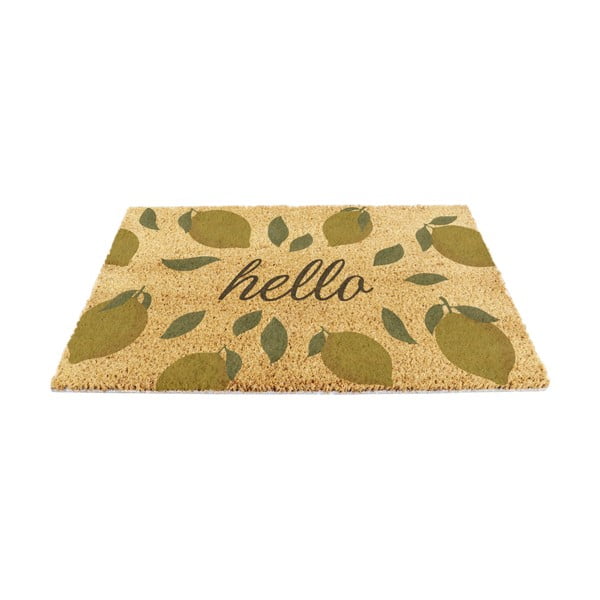 Kokosšķiedras kājslauķis 40x60 cm Hello Lemons – Artsy Doormats