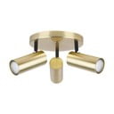 Zelta krāsas metāla prožektora tipa lampa Colly – Candellux Lighting