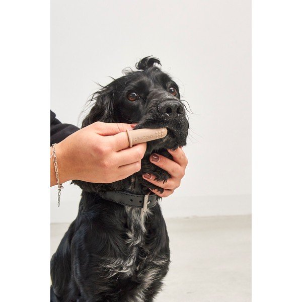 Mājdzīvnieku zobu birstes Dito – MiaCara-image-3