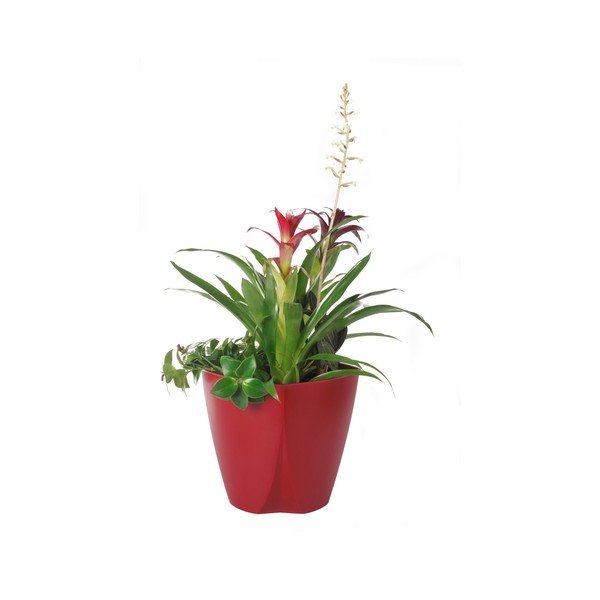 Sarkans puķu pods Plastia Camay, ø 18,5 cm-image-1