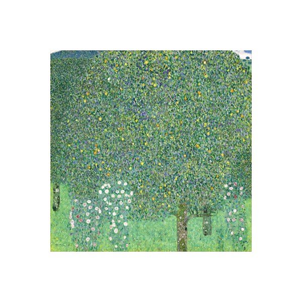 Gustava Klimta reprodukcija - Rožu krūmi zem kokiem, 40 x 40 cm