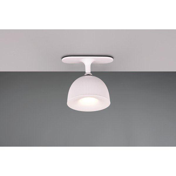 Balta LED galda lampa ar regulējamu spilgtumu/ar klipsi (augstums 41 cm) Maxima – Trio-image-2
