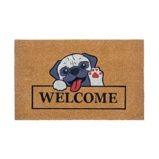 Kokosšķiedras paklājs 75x45 cm Welcome & Dog – Hanse Home
