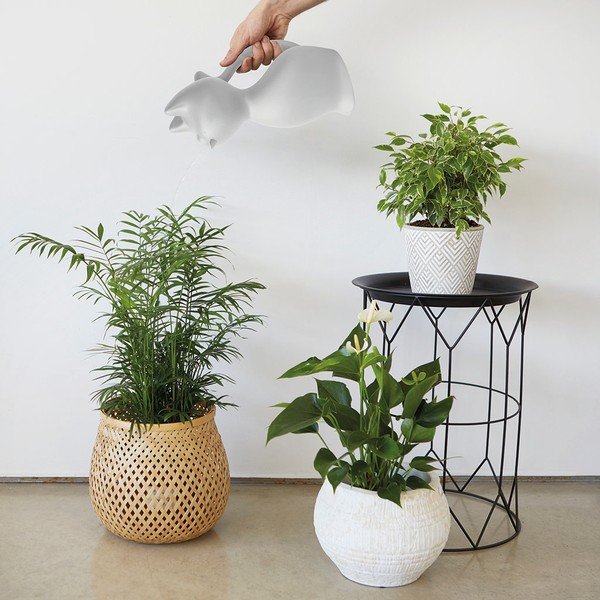 Plastmasas lejkanna 2 l Meow – Balvi-image-1