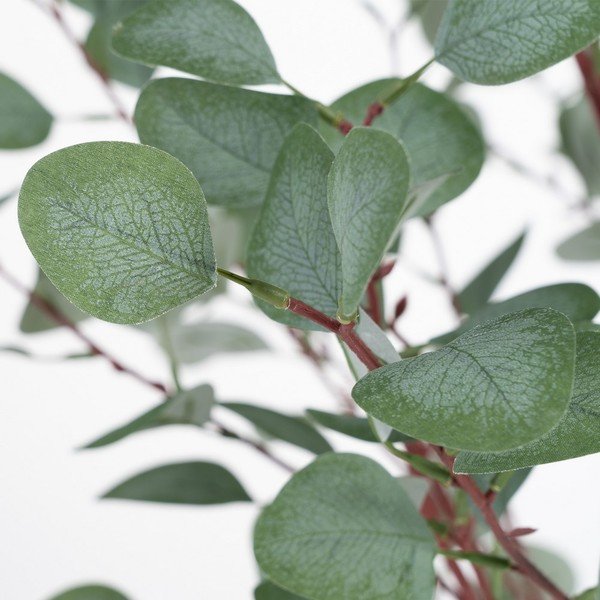 Mākslīgais eikalipts (augstums 180 cm) Eucalyptus – Ixia-image-1