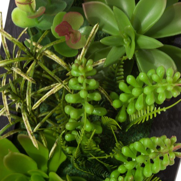 2 piekaramo dekoru komplekts augoša Unimasa kaktusa formā-image-3