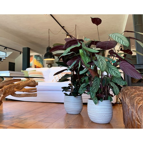 Keramikas ar rokām radīts puķu pods ø 29 cm Dóris – Artevasi-image-1